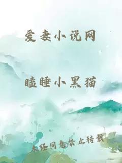 愛妻小說網