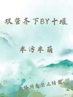 雙管齊下BY十堰