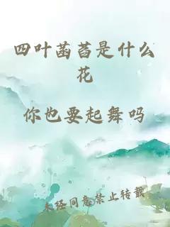 四葉菡萏是什么花