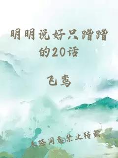 明明說好只蹭蹭的20話