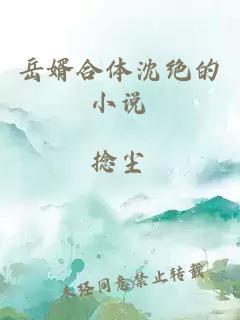 岳婿合體沈絕的小說