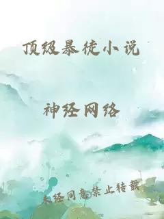 頂級(jí)暴徒小說(shuō)