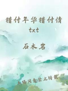 錯(cuò)付年華錯(cuò)付情txt