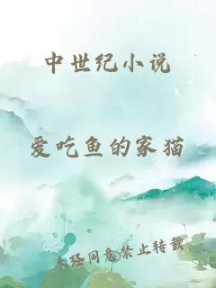 中世紀小說