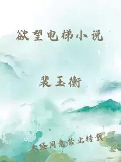 欲望電梯小說