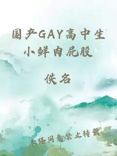 國產GAY高中生小鮮肉屁股