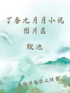 丁香九月月小說圖片區