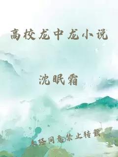 高校龍中龍小說