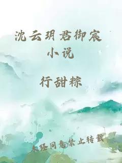 沈云玥君御宸 小說