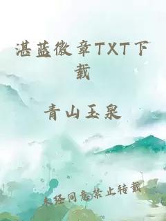 湛藍(lán)徽章TXT下載