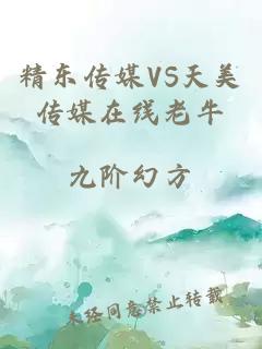 精東傳媒VS天美傳媒在線老牛