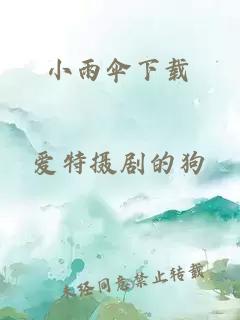 小雨傘下載