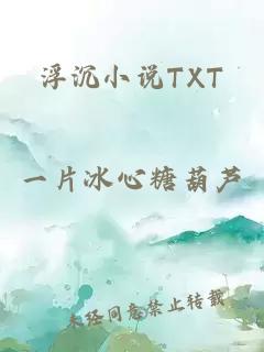 浮沉小說TXT