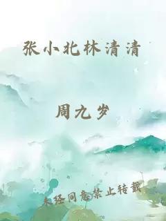 張小北林清清