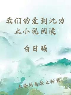 我們的愛到此為止小說閱讀