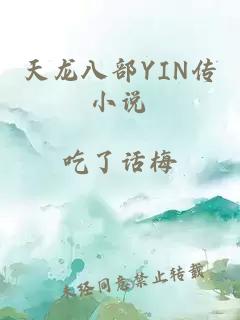 天龍八部YIN傳小說