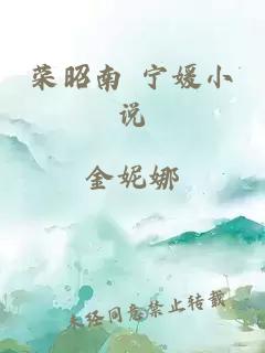 榮昭南 寧媛小說