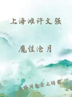 上海灘許文強(qiáng)