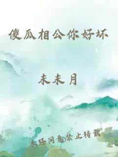 傻瓜相公你好壞