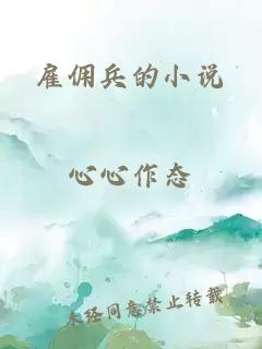 雇傭兵的小說