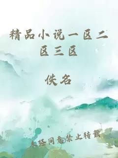 精品小說一區(qū)二區(qū)三區(qū)