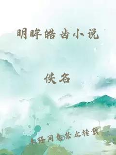 明眸皓齒小說