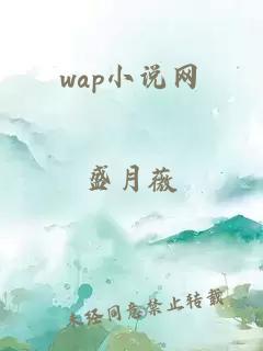 wap小說網