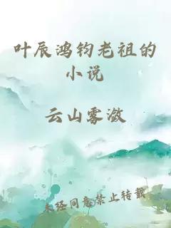 葉辰鴻鈞老祖的小說