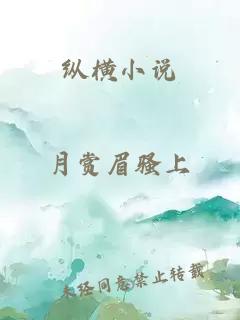 縱橫小說