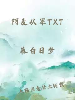 阿麥從軍TXT