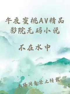 午夜蜜桃AV精品影院無碼小說