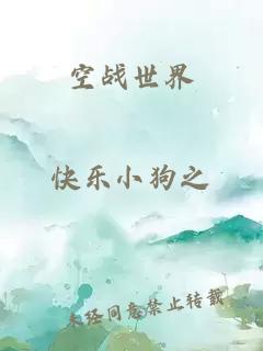 空戰(zhàn)世界