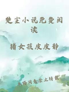 楚塵小說免費閱讀