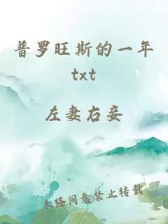 普羅旺斯的一年txt