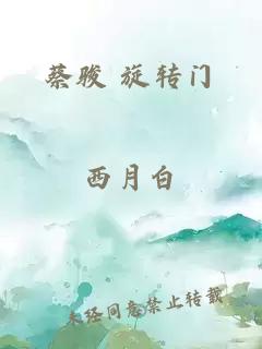 蔡駿 旋轉(zhuǎn)門