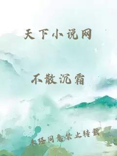 天下小說網