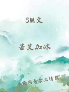 SM文