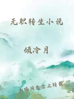 無(wú)職轉(zhuǎn)生小說(shuō)