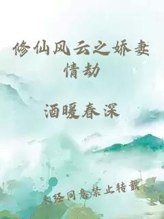 修仙風(fēng)云之嬌妻情劫