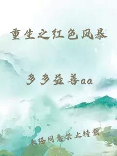 重生之紅色風(fēng)暴