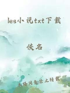 les小說txt下載