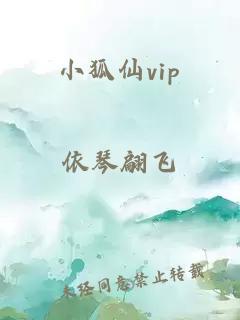 小狐仙vip