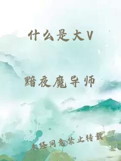 什么是大V