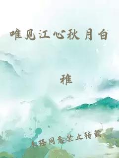 唯見(jiàn)江心秋月白