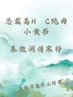 總裁高H掹C純肉小黃書