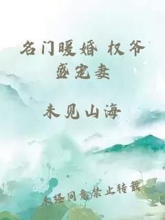 名門暖婚 權(quán)爺盛寵妻