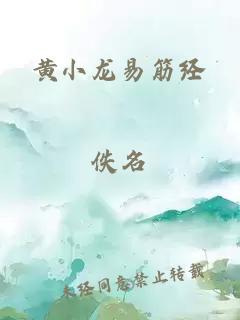 黃小龍易筋經(jīng)