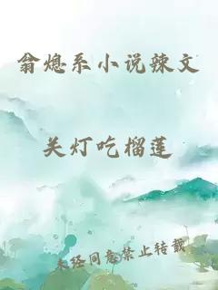 翁熄系小說(shuō)辣文