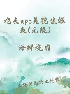 炮灰npc美貌值爆表(無限)