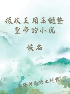 攝政王用玉髓整皇帝的小說